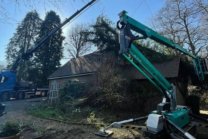Tree surgery