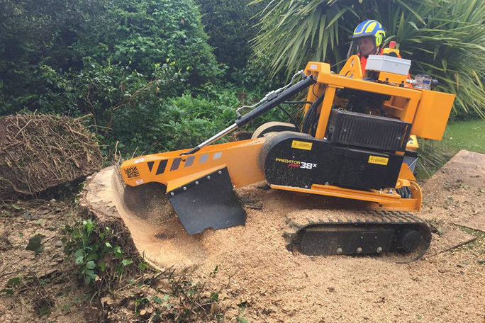 Stump grinding