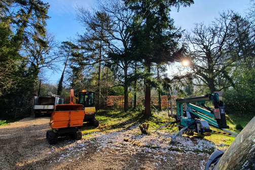 Tree clearing - Ockley, Surrey
