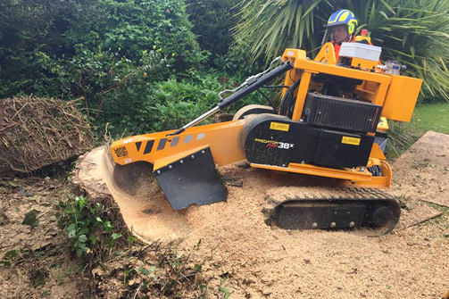 Stump grinding, Surrey